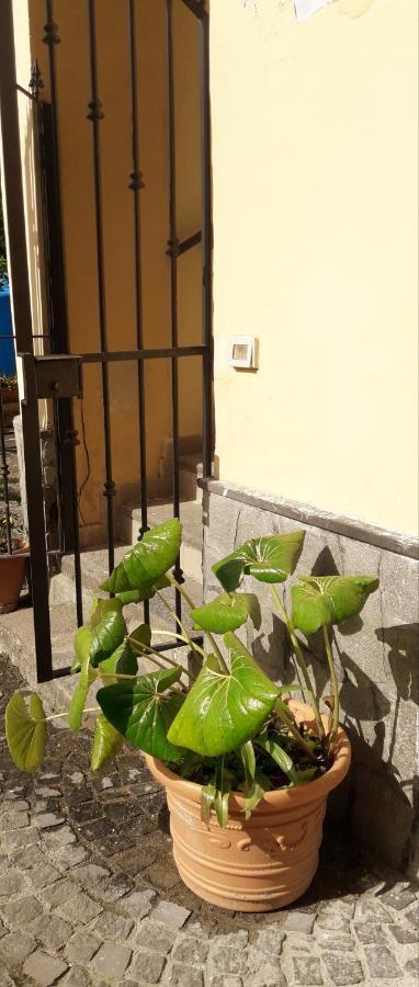Pompei Vesevus Apartament Boscotrecase المظهر الخارجي الصورة